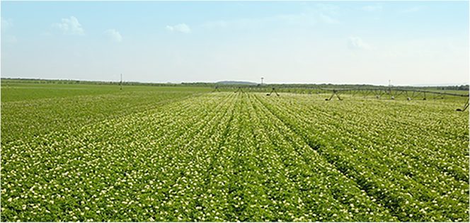 BB��Ѷ��(�й���)���޹�˾