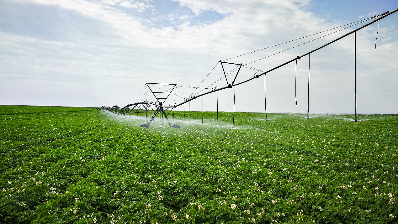 BB��Ѷ��(�й���)���޹�˾